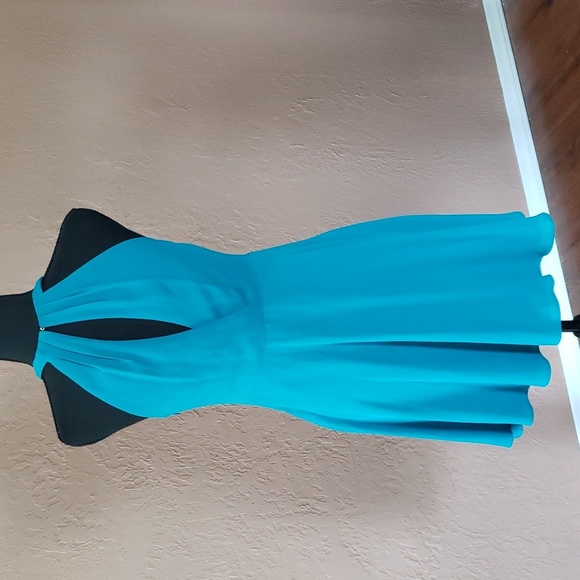 Express Midi Dress Sleeveless with Full Skirt Size 4 - Picture 4 of 8